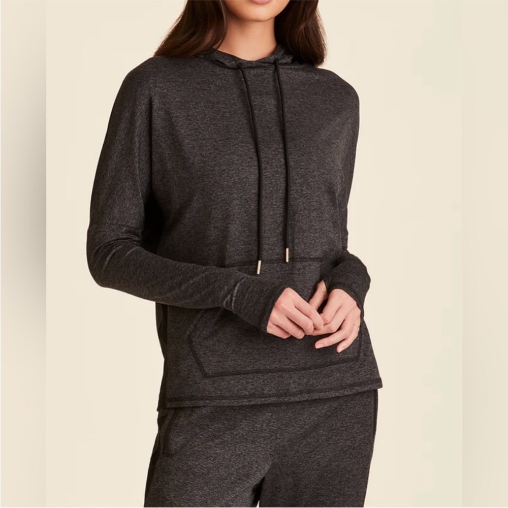 Alala Charcoal Gray Hoodie Top